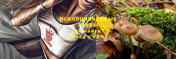 a pvp Алзамай