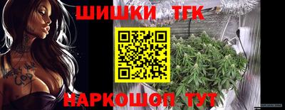 крисы Кинель