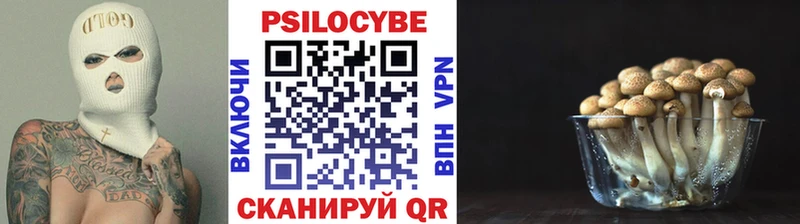 Псилоцибиновые грибы Psilocybe  Подольск 