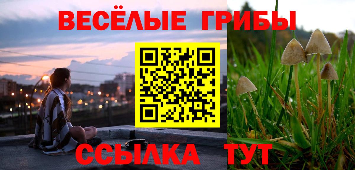 Подольск  Псилоцибиновые грибы мицелий  Вход с VPN 