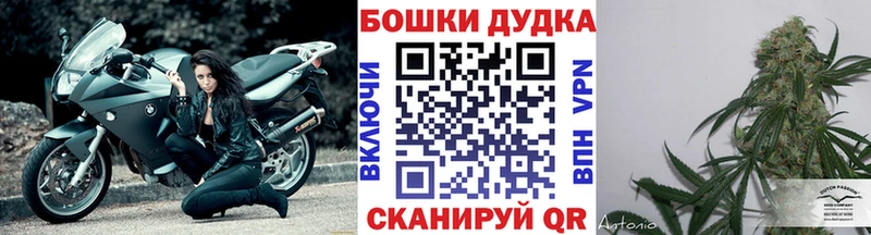 hydra как войти  Подольск  Шишки марихуана AK-47  где найти наркотики 